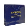 Paper Bag for Promotion (Item No.DYP188)