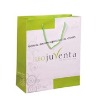 Paper Bag for Promotion (Item No.DYP191)