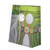 Paper Bag for Promotion (Item No.DYP216)