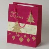 Paper Christmas Gift Bag