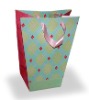 Paper Gift Package Bag