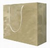 Paper Shopping Bag