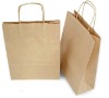 Paper Shopping Bag