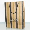 Paper Shopping Bag (Item No.DYP330)