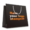 Paper Shopping Bag (Item No.DYP331)