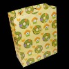 Paper Shopping Bag (Item No.DYP333)