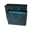 Paper Shopping Bag with Cotton Handle