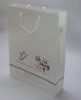 Paper bag(promotion bag or gift bag)