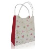 Paper gift bags(PB-M02)