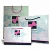 Paper promotional shopping bag