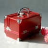Perfect Red Aluminum cosmetic case