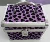 Personal care cosmetic case, cosmetic case, aluminum case
