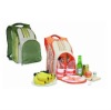 Picnic Backpack for Two Person,Picnic Backpack