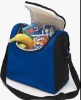 Picnic Cooler Bags