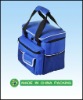 Picnic Foldable Insulated Cooler Bag For Lunch