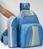 Picnic backpack bag for 4 person JLD09258