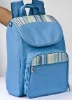 Picnic backpack bag for 4 person JLD09267