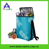 Picnic bag & lunch cooler bag & cute lunch cooler bag