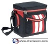 Picnic cooler bag