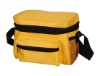 Picnic cooler bag