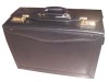 Pilot  case