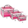 Pink Acry Cosmetic Case Set