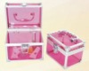 Pink Acrylic Cosmetic case in fashion