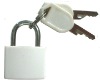 Plastic Lock