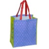 Point pp woven bags(W800275)