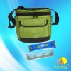 PolarBag cooler bag for frozen food