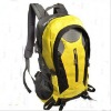 Polyester Backpack Bag