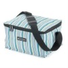 Polyester Cooler Bags