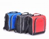 Polyester cooler bag