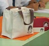 Polyester picnic Bag