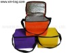Polyester picnic cooler bag (s10-cb012)
