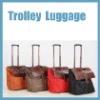 Popular 2pcs trolley luggage