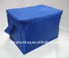 Popular Polyester Can Bag/Bottle Cooler