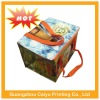 Popular can cooler bag