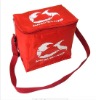 Popular design collapsible cooler bag(s11-cb005)