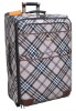 Popular fashionalbe trolley luggage