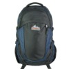 Popular shcool backpack and dacron 600d