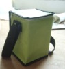 Portable Insulated Cooler Bag