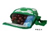 Portable Insulated Cooling Bag