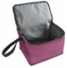 Portable Reusable Cooler Bag