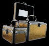 Portable beauty case