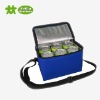 Portable cooler bag