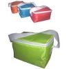 Portable cooler bag