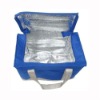 Portable keep cold bag