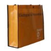 Pp woven promotional bag