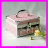 Pragmatic and Lovely Pink Aliminum Cosmetic Case